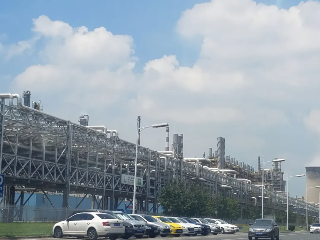 202ed8f19a11edb6e122437f1dc1646