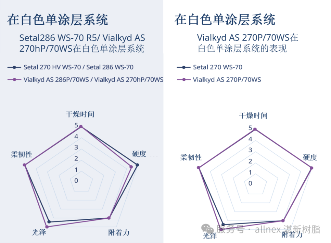 湛新rPET樹脂新品發布-2024666
